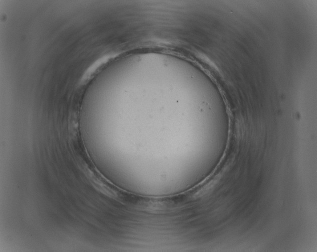 X0000081281355200702012208