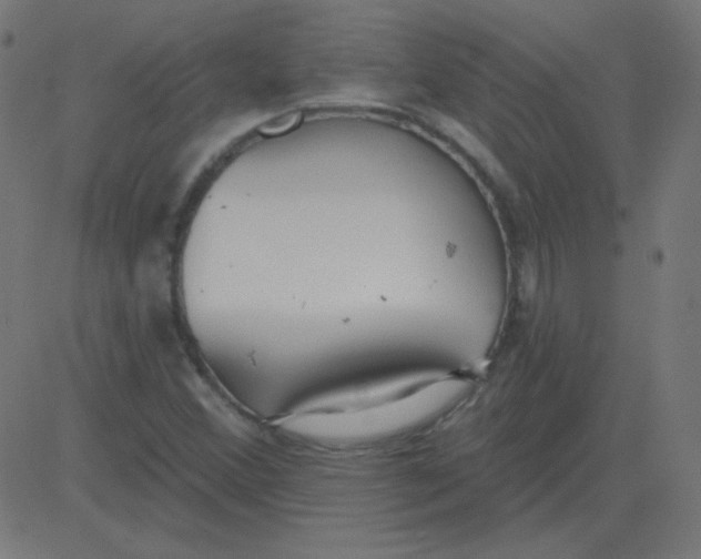 X0000081281356200702012208