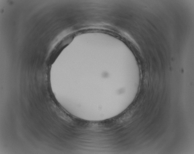 X0000081281360200702012208