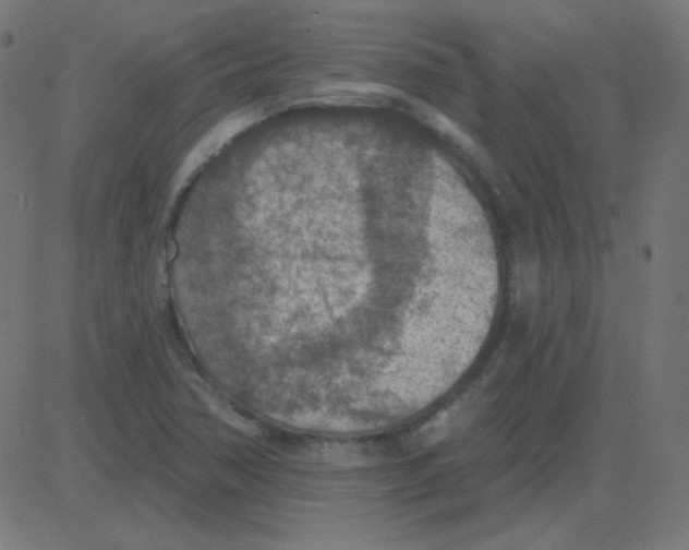 X0000081281362200702012208