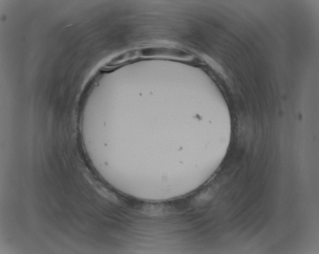 X0000081281364200702012208