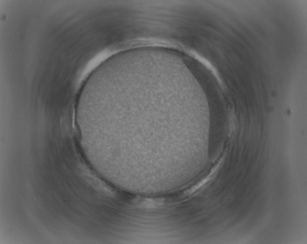 X0000081281365200702012208