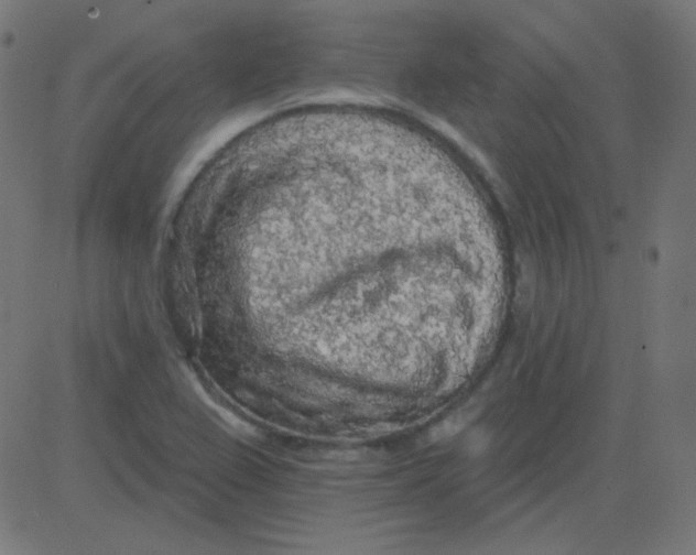 X0000081281367200702012208