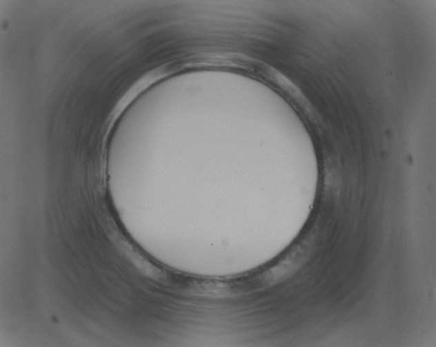 X0000081281370200702012208