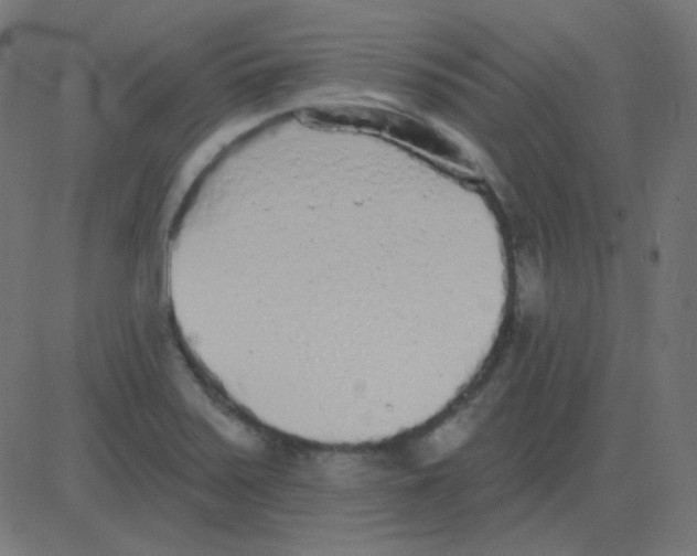 X0000081281371200702012208