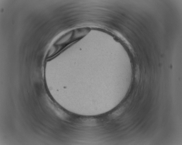 X0000081281372200702012208