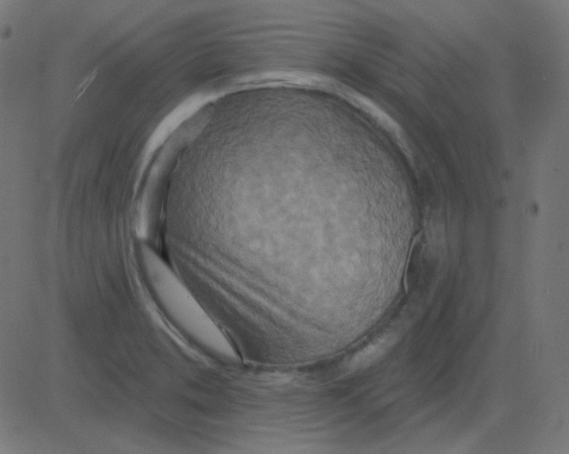 X0000081281373200702012208