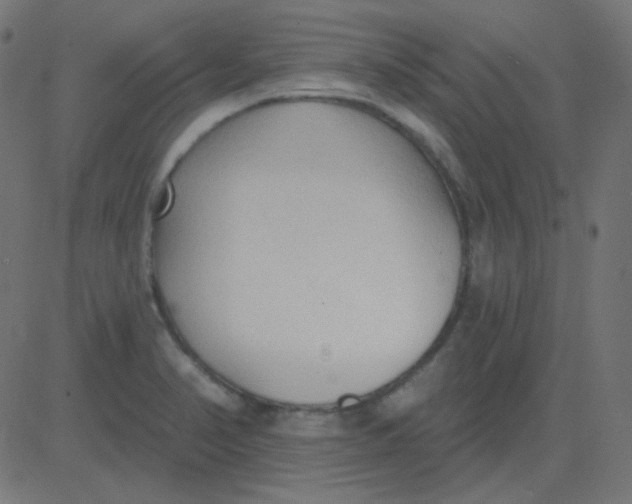 X0000081281374200702012208