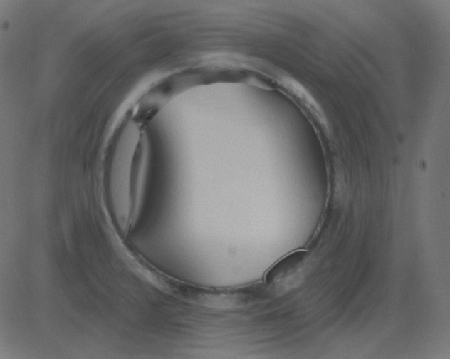 X0000081281376200702012208