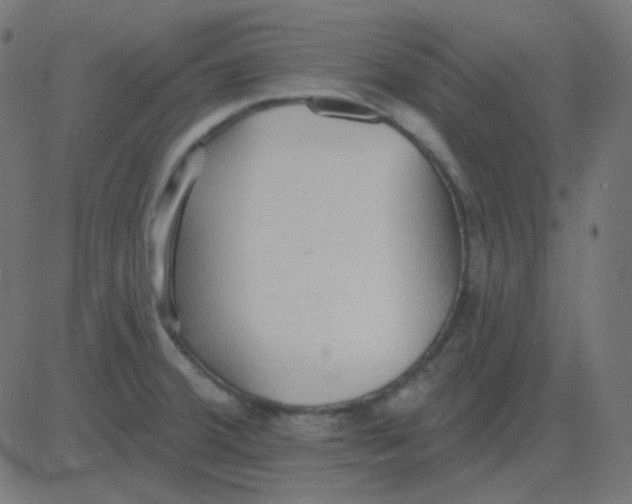 X0000081281380200702012208