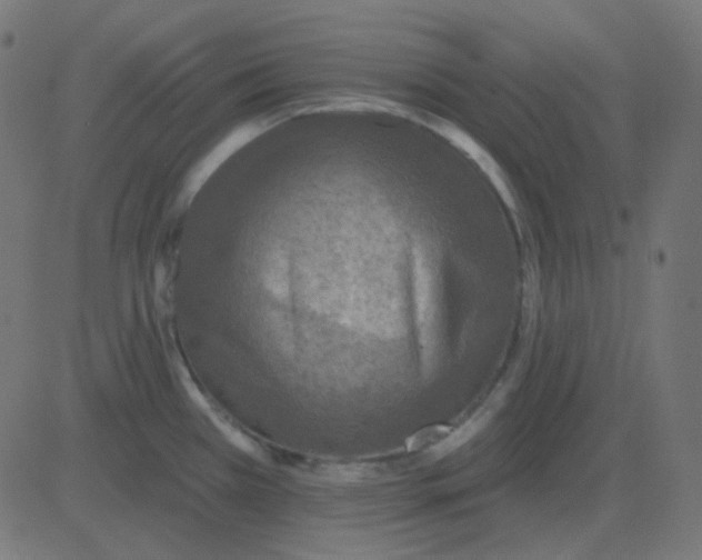 X0000081281385200702012208