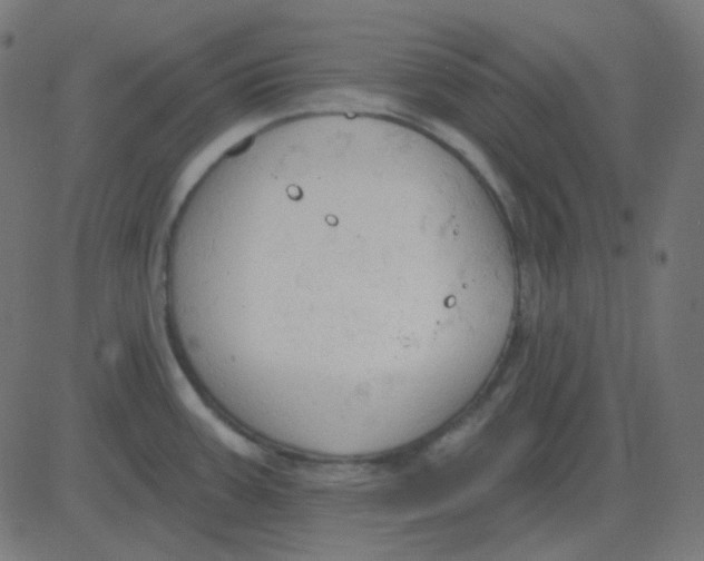 X0000081281387200702012208