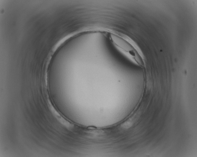 X0000081281388200702012208