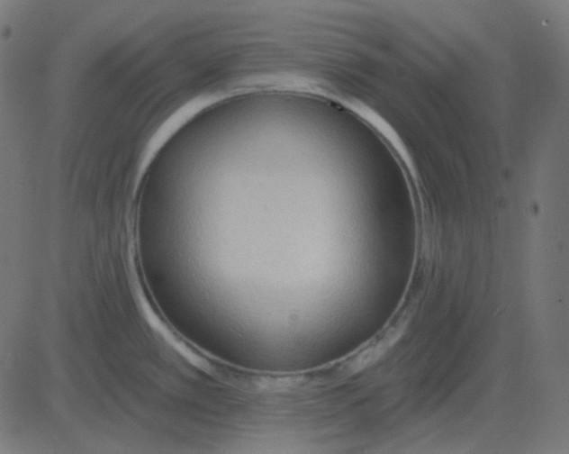 X0000081281389200702012208