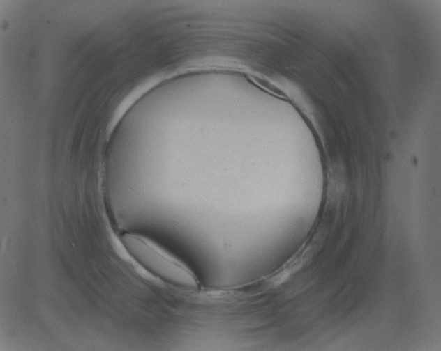 X0000081281390200702012208