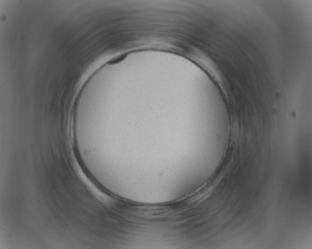 X0000081281391200702012207