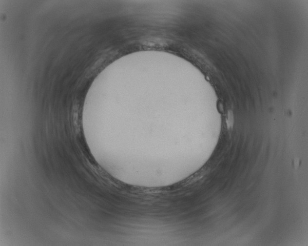 X0000081281396200702012207