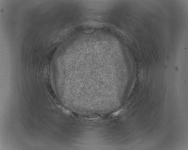 X0000081281397200702012207