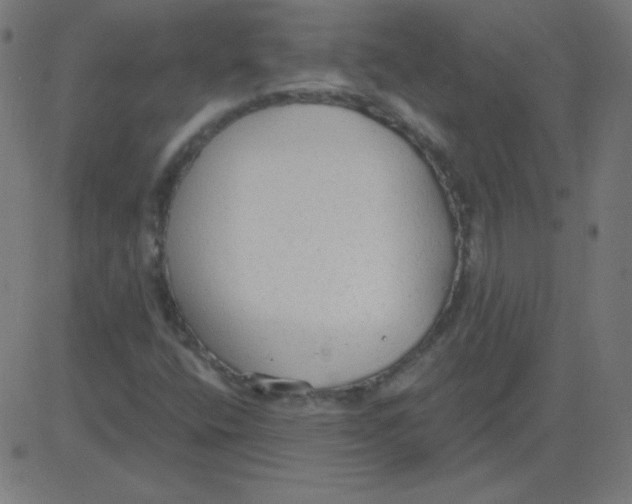 X0000081281400200702012207