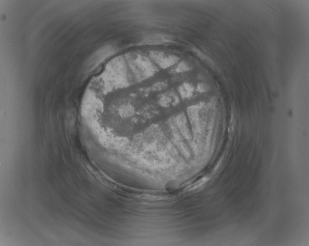 X0000081281401200702012207