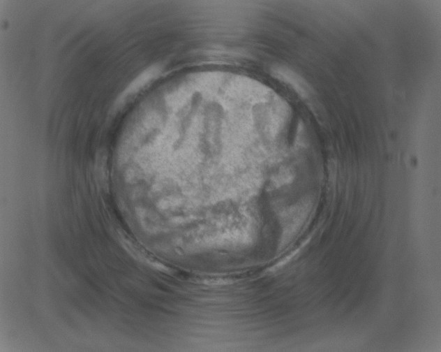 X0000081281403200702012207