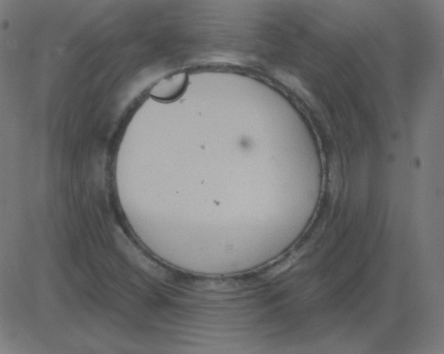 X0000081281404200702012207