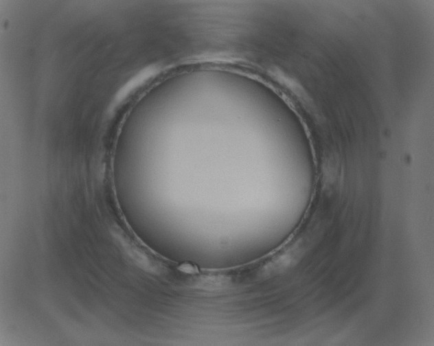 X0000081281406200702012207