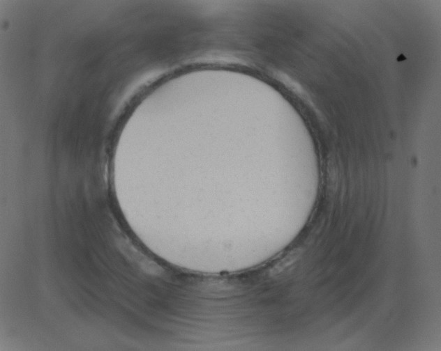 X0000081281408200702012207