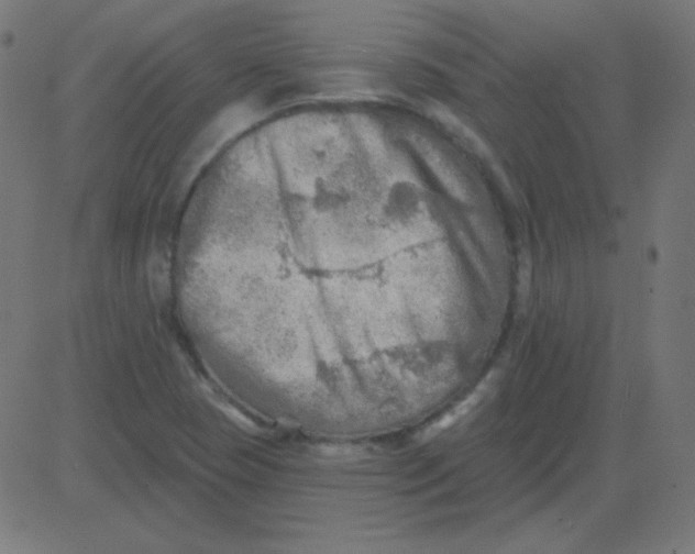 X0000081281409200702012207