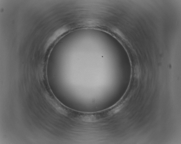 X0000081281410200702012207