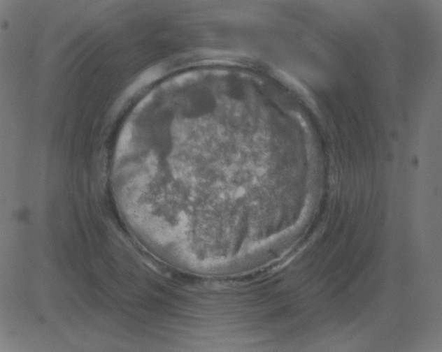 X0000081281411200702012207