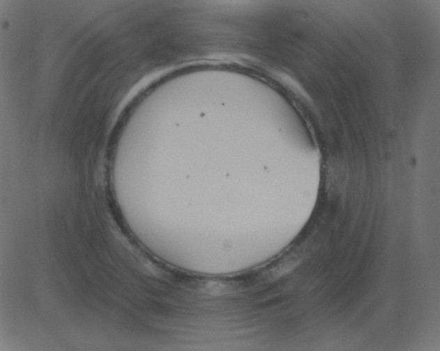 X0000081281412200702012207