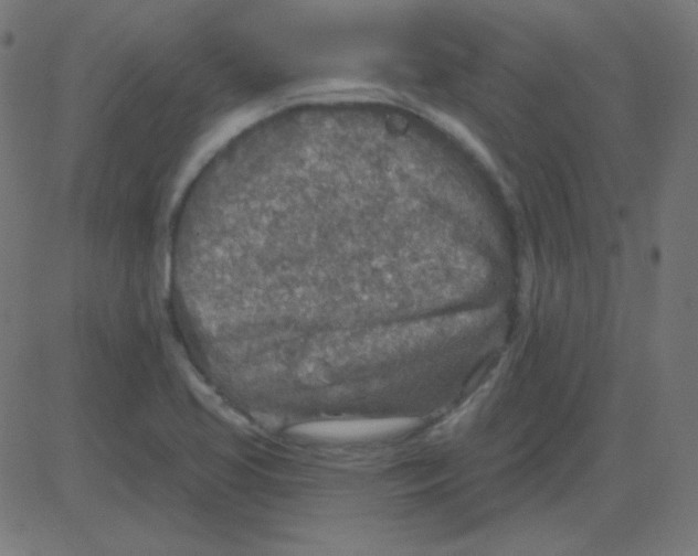 X0000081281413200702012207