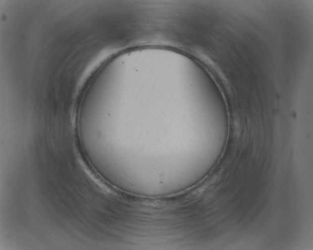 X0000081281416200702012207