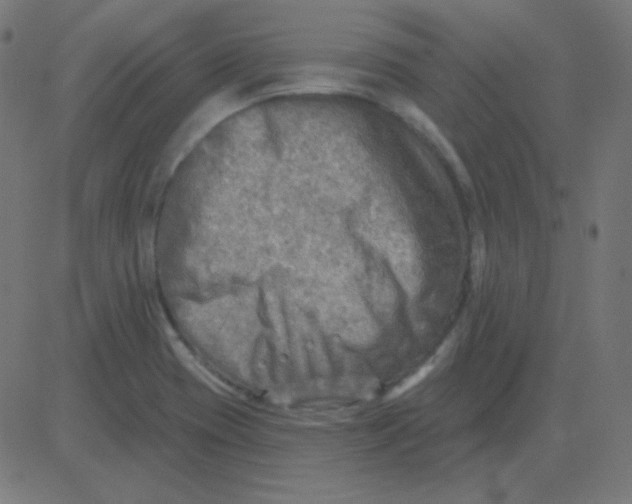 X0000081281417200702012207