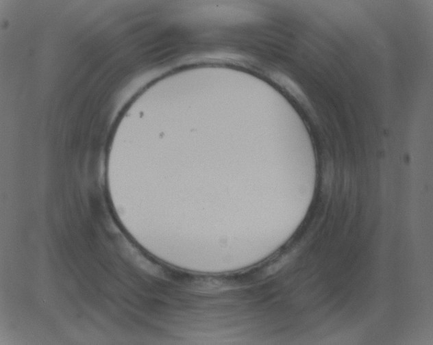 X0000081281420200702012207