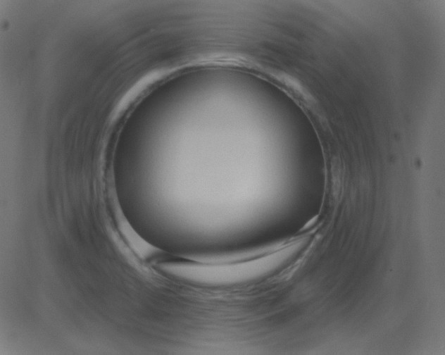 X0000081281422200702012207