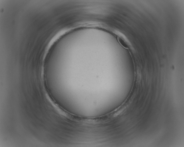 X0000081281424200702012207