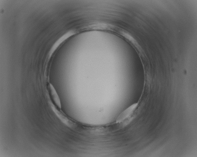 X0000081281426200702012207