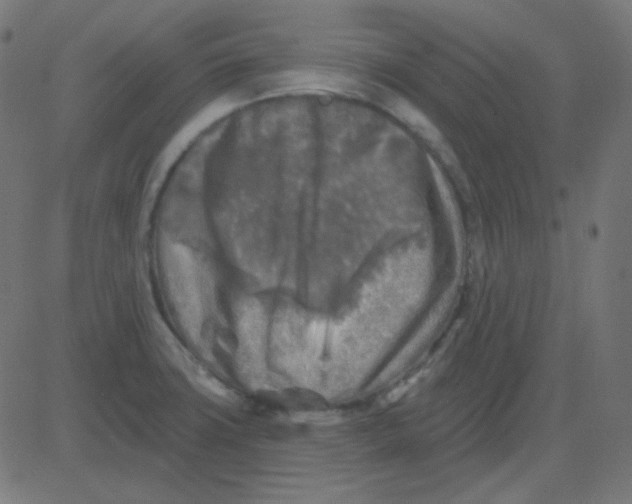 X0000081281427200702012207