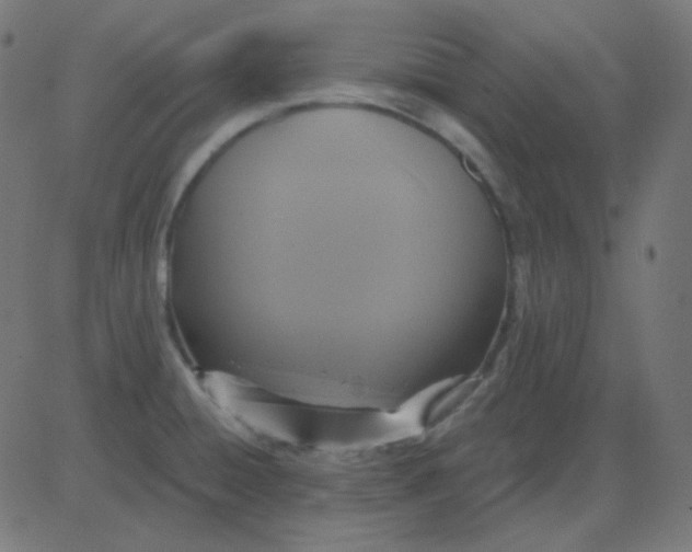 X0000081281428200702012207