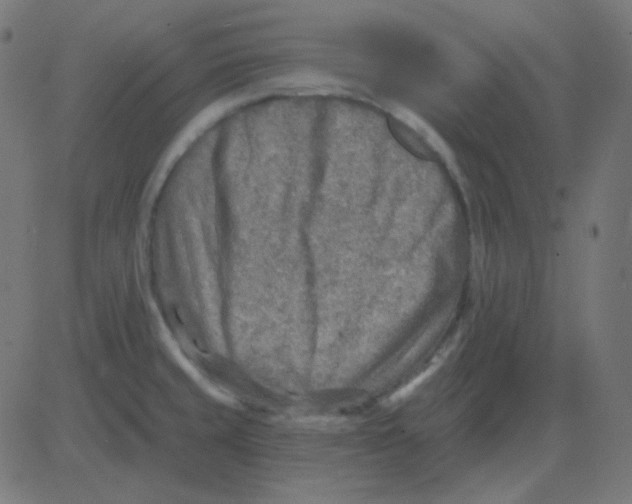 X0000081281429200702012207