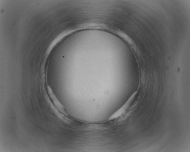 X0000081281430200702012207