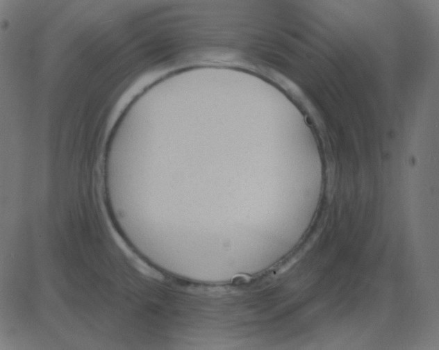 X0000081281432200702012207