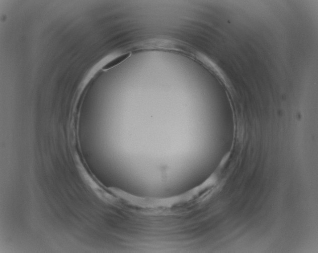 X0000081281434200702012207