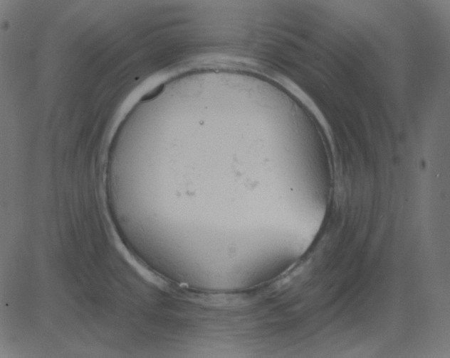 X0000081281437200702012207