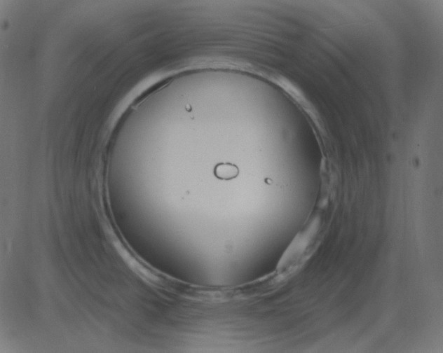 X0000081281438200702012207