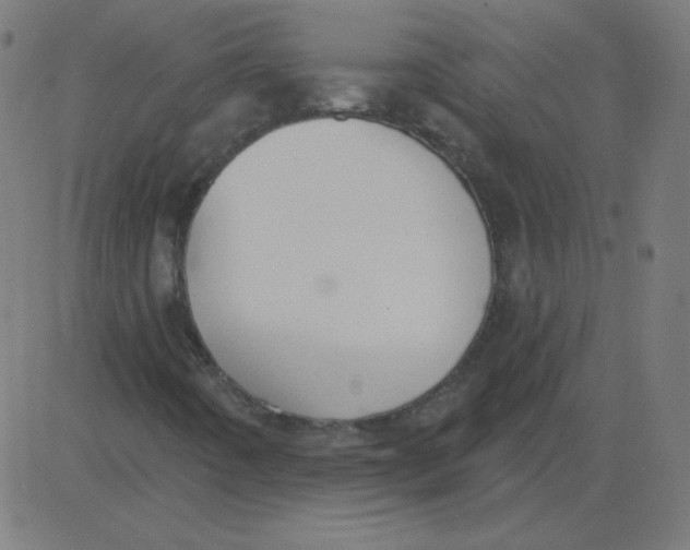 X0000081281442200702012207