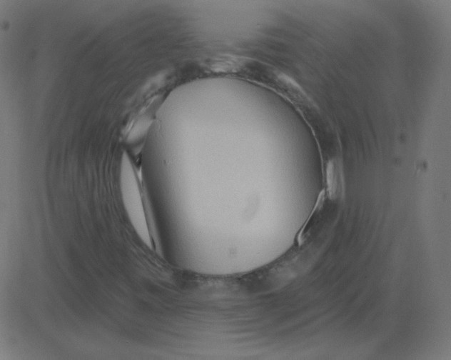 X0000081281443200702012207