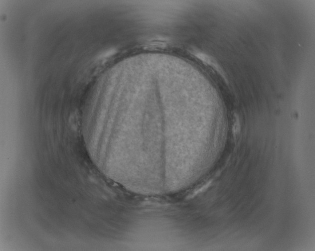 X0000081281445200702012207